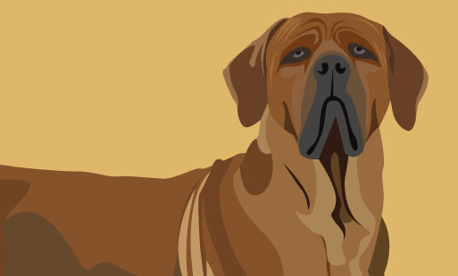 Les races catégorisées