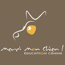 loic@mercimonchien.com