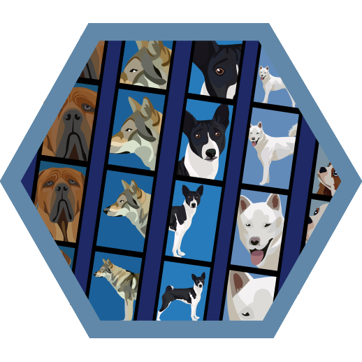 Flash Badge niveau 4