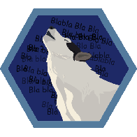 Blabla Badge niveau 5