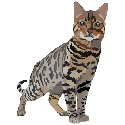 Bengal
