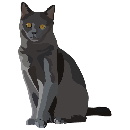 Chartreux