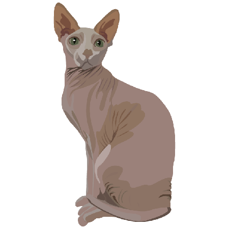 Sphynx