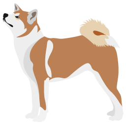 Akita Inu