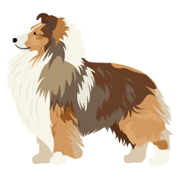 Chien