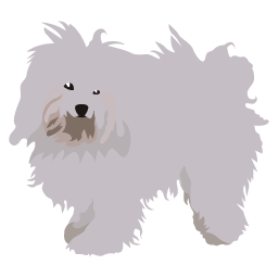 Chien
