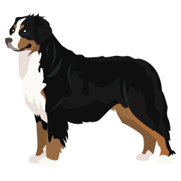 Chien