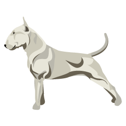 Chien