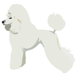Caniche