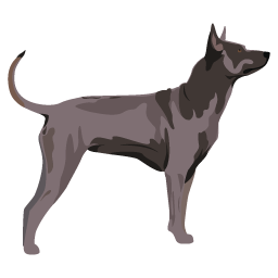 Chien thaïlandais à crête
