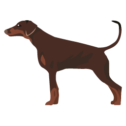 Chien