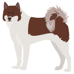 Chien