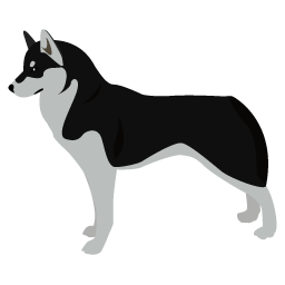 Husky de Sibérie
