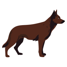 Kelpie