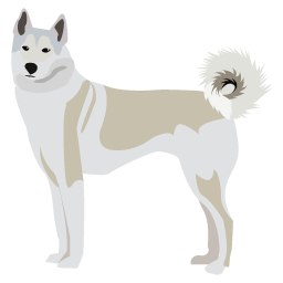 Chien