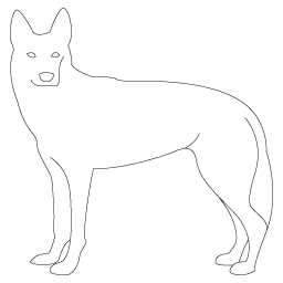 Chien