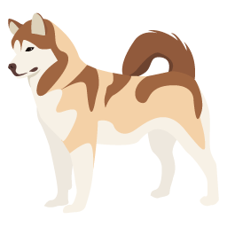Malamute de l'Alaska