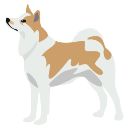 Chien