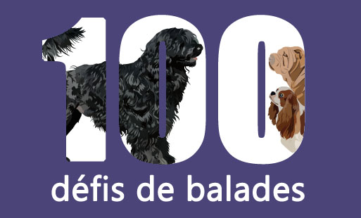 Aujourd’hui, je vous propose de relever des défis…