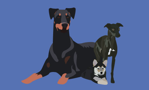 Je tenais à vous annoncer que les petits chiens s…