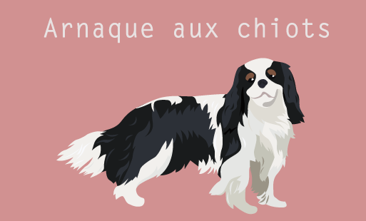 Nous allons essayer de détailler une arnaque qui …