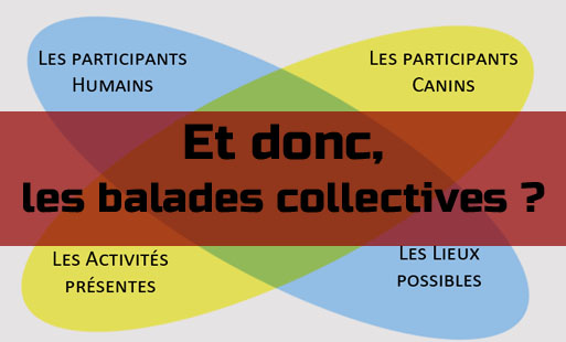 Nous avons présenté <a href="/actualites/les-diff…