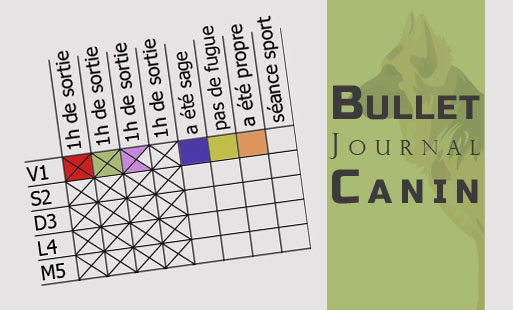 Coucou tous !
Aujourd’hui, on va parler de bul…