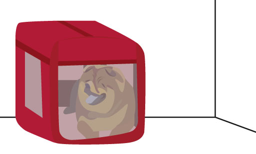 <i class="lgd">La cage est un très gros sujet à m…