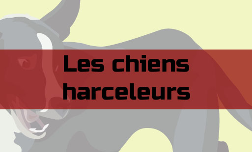 Si vous avez décidé de faire <a href="/actualite…