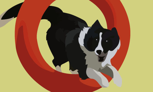 Je n’aime pas les <strong>clubs canins</strong>, …