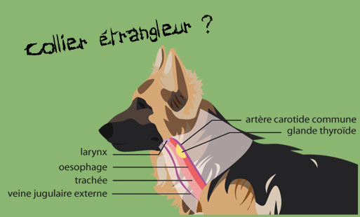 Aujourd’hui, je vais me livrer à un exercice diff…