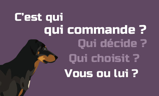 C'est qui qui commande ? Vous ou votre chien ? Pe…
