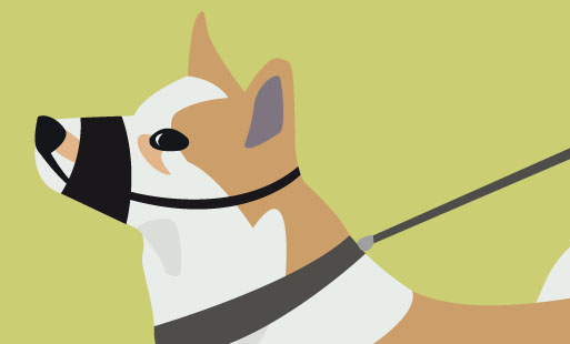 Emmener son chien faire du jogging, c’est plutôt …
