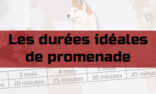 Aujourd’hui, mettons les pieds dans le plat. Les …