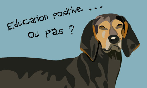 Quand on décide d’aller voir un éducateur canin o…