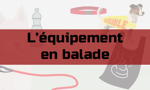 Aujourd’hui, prenons un peu de temps pour réfléch…