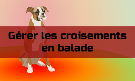 Les croisements c’est un sujet particulièrement c…