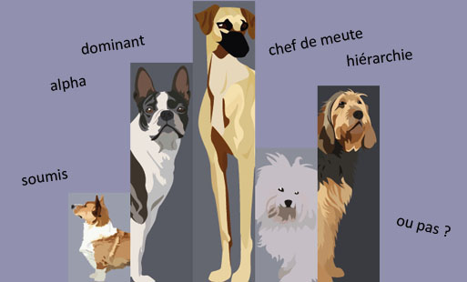 Il existe des tas d’articles sur la <strong>hiéra…