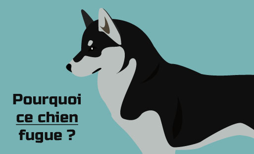 Nous avons tendance à réfléchir de travers quand …