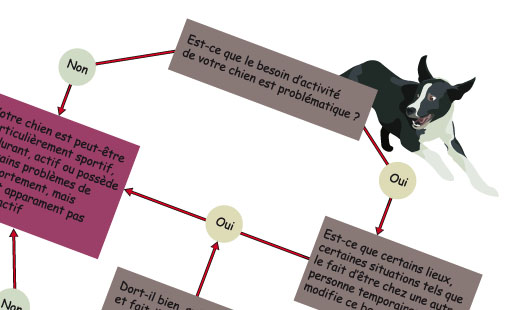 Beaucoup de propriétaires et parfois même de prof…