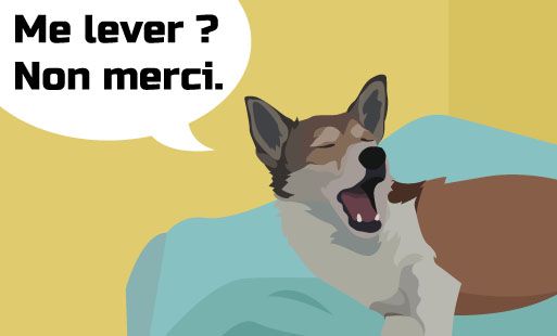 L’éducation positive est un outil merveilleux qui…