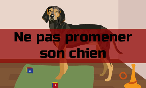 Beaucoup de chiens ne sont jamais, strictement ja…