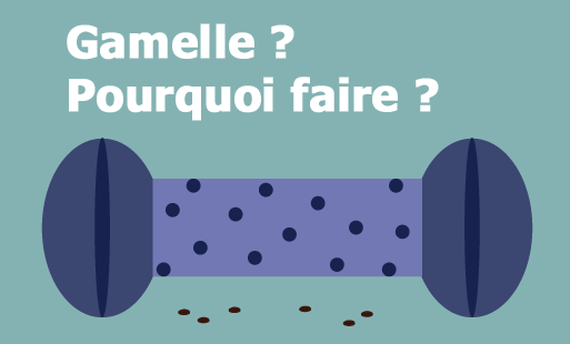La question peut paraître un peu bébête tellement…