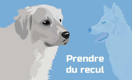 Dans cet article je vais parler de méthodes, mais…