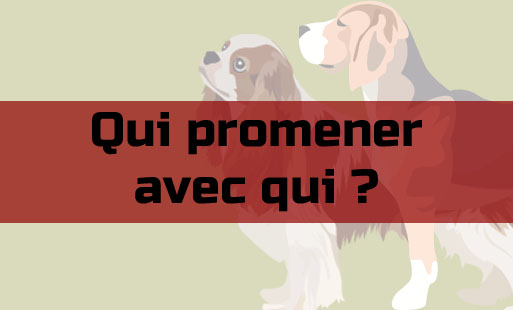 Se promener à plusieurs est une expérience très e…