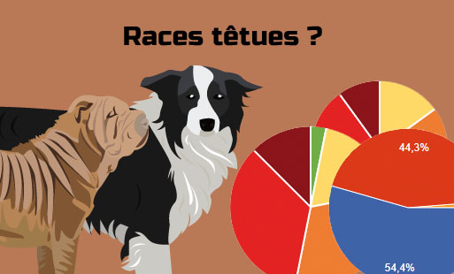 Pour ceux qui veulent une réponse rapide, quelles…
