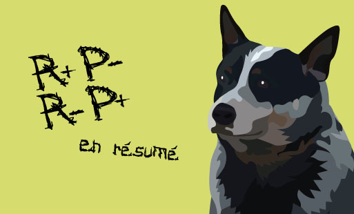 On parle souvent de <b>R+ P-</b> et de <b>P+ R-</…