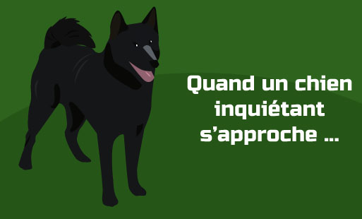 Peut-être avez-vous parfois peur de certains chie…