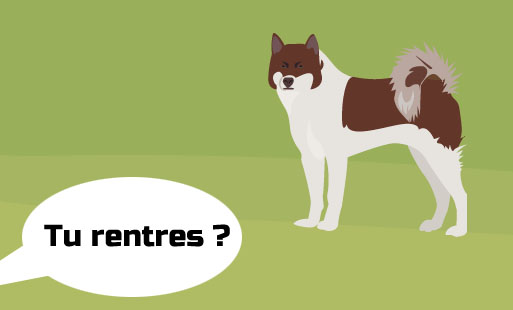 C’est une scène presque classique chez beaucoup d…