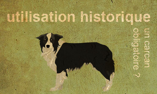 Chien de chasse = chien de chasse ? Chien de trou…